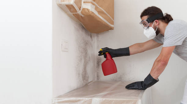 Professional Bathroom Mold Removal technician working in Windsor, VA