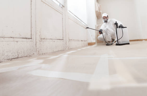 24/7 Emergency Bathroom Mold Removal experts in Windsor, VA