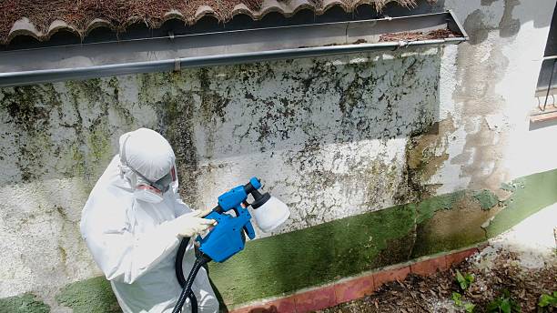 Top rated local Bathroom Mold Removal specialists in Windsor, VA